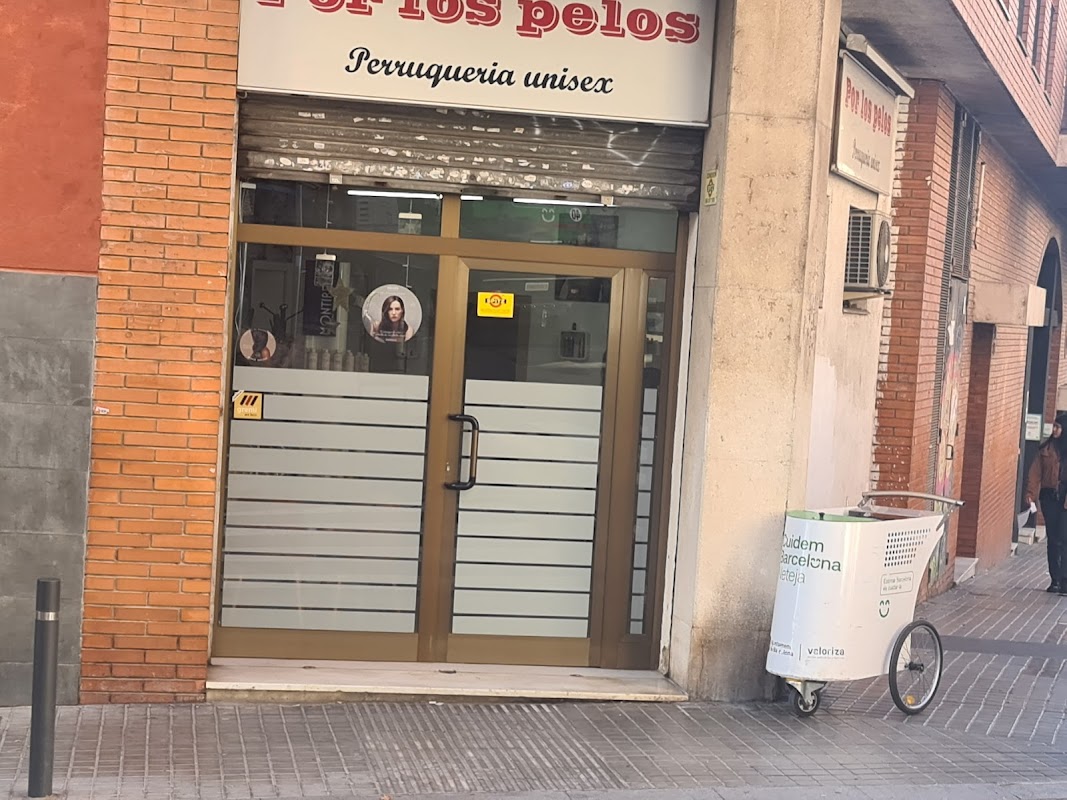 Salón Por los pelos